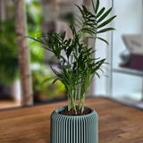 Fluted pegboard planter shown on a desk